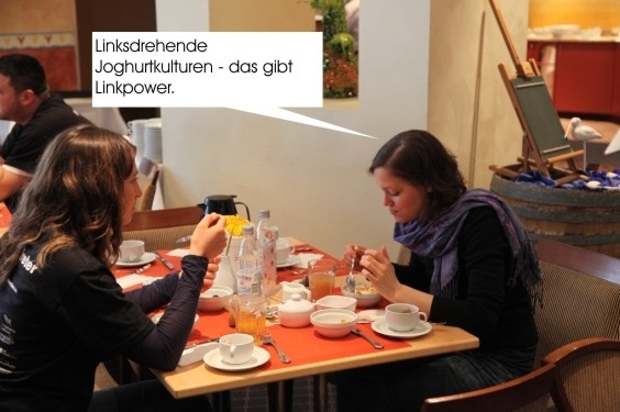 Linksdrehende Joghurtkulturen