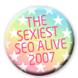 Sexiest SEO Alive badge 1